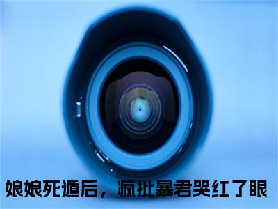 小说叶晚棠谢韫臣（娘娘死遁后，疯批暴君哭红了眼小说免费阅读）完结阅读_叶晚棠谢韫臣全文免费阅读最新章节大结局