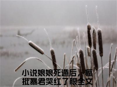 叶晚棠谢韫臣（娘娘死遁后，疯批暴君哭红了眼）小说在线阅读_叶晚棠谢韫臣免费阅读笔趣阁（娘娘死遁后，疯批暴君哭红了眼）