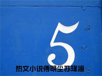 傅明尘苏瑾澜的小说免费阅读（和离后，神医王妃飒爆了的小说免费阅读）全文完整版免费阅读