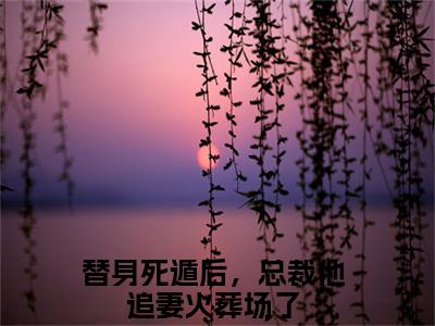 替身死遁后，总裁他追妻火葬场了小说完整版阅读-（顾子风岑溪）小说全文免费阅读