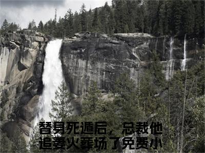 顾子风岑溪小说最新试读_(替身死遁后，总裁他追妻火葬场了免费阅读最新章节列表)_笔趣阁