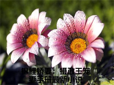 锦鲤娇妻：摄政王宠妻手册（秦慕修赵锦儿）全文免费阅读无弹窗大结局_（锦鲤娇妻：摄政王宠妻手册免费阅读无弹窗）秦慕修赵锦儿最新章节列表_笔趣阁