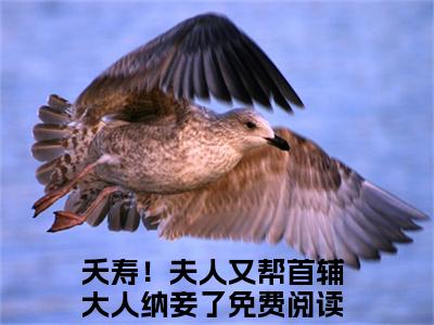 顾长凌云薇小说全文免费阅读无弹窗大结局_夭寿！夫人又帮首辅大人纳妾了最新章节列表_笔趣阁