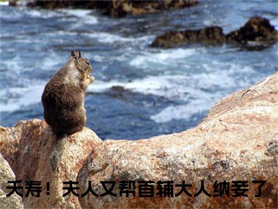 顾长凌云薇精彩小说（夭寿！夫人又帮首辅大人纳妾了）在哪免费看-小说(夭寿！夫人又帮首辅大人纳妾了)全文完整版免费阅读