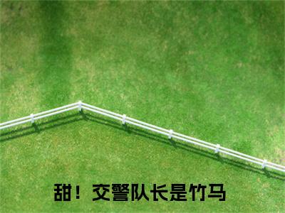江轶津何汀渔（甜！交警队长是竹马）全网首发小说-小说甜！交警队长是竹马（江轶津何汀渔）完整版全文在线赏析
