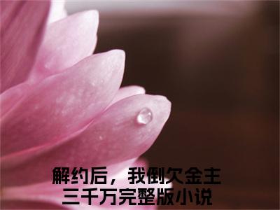 小说解约后，我倒欠金主三千万（林鸢裴翊小说免费阅读）完结阅读_解约后，我倒欠金主三千万全文免费阅读最新章节大结局