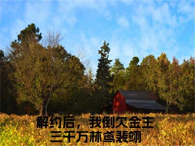 主角为解约后，我倒欠金主三千万的小说（林鸢裴翊）大结局免费阅读-林鸢裴翊全文免费阅读笔趣阁