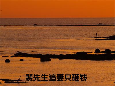 苏颜裴谨（裴先生追妻只砸钱）正版小说最新章节在线阅读_（裴先生追妻只砸钱全文免费阅读无弹窗）