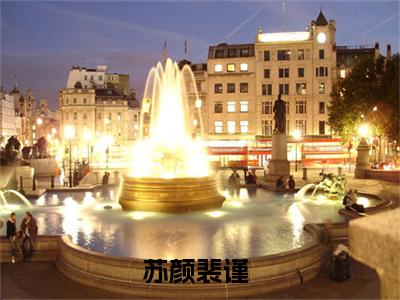 苏颜裴谨小说叫什么名字（裴先生追妻只砸钱）完整版大结局-苏颜裴谨小说在线阅读