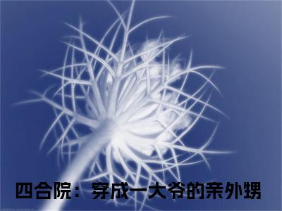 李安业全文免费阅读大结局_李安业（四合院：穿成一大爷的亲外甥）完整版在线赏析