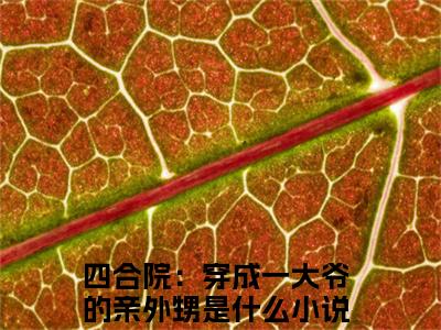 四合院：穿成一大爷的亲外甥（李安业）全文免费阅读_四合院：穿成一大爷的亲外甥免费阅读最新章节列表笔趣阁（李安业）