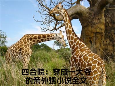 李安业（四合院：穿成一大爷的亲外甥）全文免费阅读无弹窗完整版，(李安业)免费阅读全文最新章节列表_笔趣阁