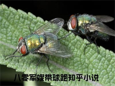 徐雅芝雷锋庭小说全文免费阅读正版 八零军嫂带球跑免费阅读无弹窗