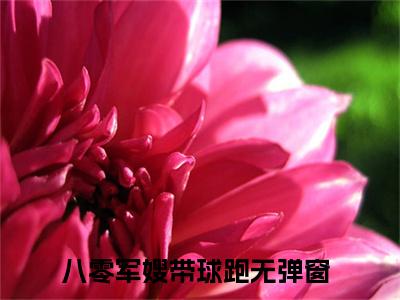 主角叫八零军嫂带球跑的小说-（徐雅芝雷锋庭）八零军嫂带球跑全文无弹窗完整版阅读