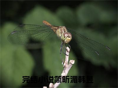 简昕湄韩昱小说免费阅读-小说推荐简昕湄韩昱精彩章节在线阅读
