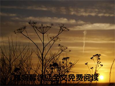 主角叫林婉馨徐延的小说-林婉馨徐延最新章节在线阅读