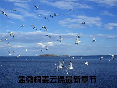 孟微桐姜云锡小说叫什么-孟微桐姜云锡全文阅读