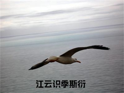 江云识季斯衍（江云识季斯衍）全文免费阅读无弹窗大结局_江云识季斯衍全文免费阅读（江云识季斯衍）最新章节列表_笔趣阁