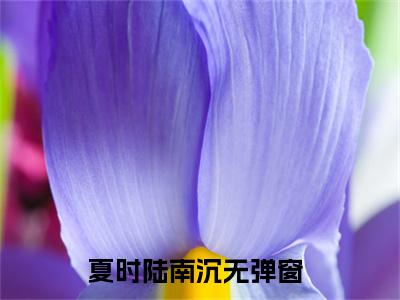 夏时陆南沉（有孕出逃：千亿总裁追妻成狂）全文完整版免费阅读_有孕出逃：千亿总裁追妻成狂（夏时陆南沉全文免费阅读）最新章节列表_笔趣阁
