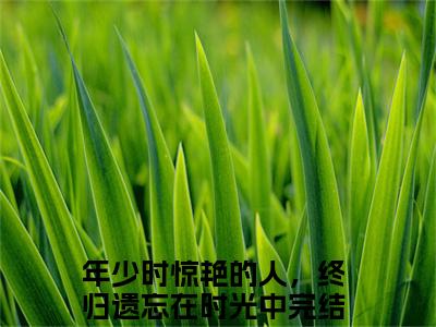 徐念棠宋淮昱（年少时惊艳的人，终归遗忘在时光中）全文免费阅读无弹窗大结局_徐念棠宋淮昱全文免费阅读_笔趣阁