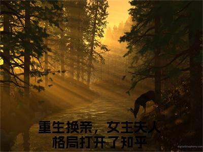 陆又龄程放多人追热门小说 重生换亲，女主夫人格局打开了最新章节免费阅读