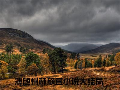 薄随州林欣宜小说在线阅读-小说（薄随州林欣宜）免费观看