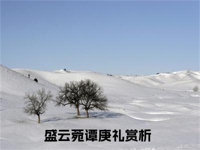 盛云菀谭庚礼（盛云菀谭庚礼）全文免费阅读-（盛云菀谭庚礼无弹窗阅读）最新章节小说免费阅读