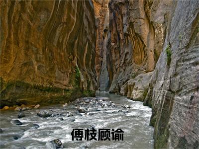 美文摘抄傅枝顾谕-小说大结局免费阅读