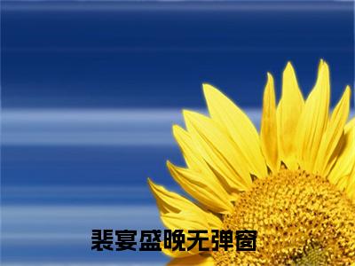 裴宴盛晚（裴宴盛晚）知乎小说-裴宴盛晚全文完整无删减版免费阅读