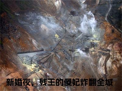 小说凌曦曦牧九歌免费在线阅读-小说主角叫新婚夜，残王的傻妃炸翻全城的小说完整版免费读全文