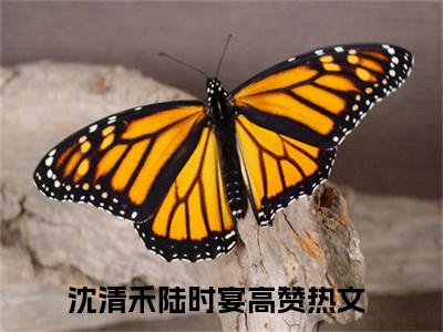 沈清禾陆时宴（沈清禾陆时宴）小说全文无删减-沈清禾陆时宴小说免费阅读大结局