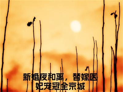 沐云姝容九思（新婚夜和离，替嫁医妃宠冠全京城）全文免费阅读无弹窗_沐云姝容九思:新婚夜和离，替嫁医妃宠冠全京城最新小说_笔趣阁（新婚夜和离，替嫁医妃宠冠全京城）