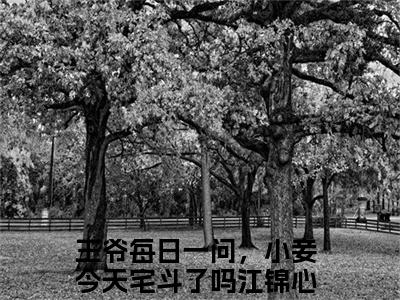 王爷每日一问，小妾今天宅斗了吗江锦心（王爷每日一问，小妾今天宅斗了吗江锦心）全文阅读完整版_王爷每日一问，小妾今天宅斗了吗江锦心（王爷每日一问，小妾今天宅斗了吗江锦心）小说免费阅读大结局无删减（王爷每日一问，小妾今天宅斗了吗江锦心）