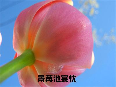 景苒池宴忱（景苒池宴忱）全文免费阅读无弹窗大结局_景苒池宴忱最新章节列表_笔趣阁（景苒池宴忱）