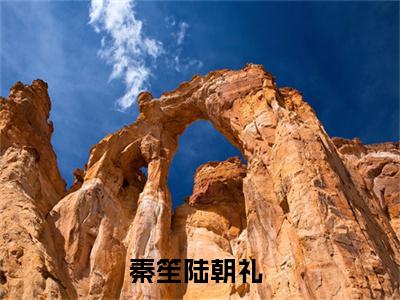 秦笙陆朝礼小说免费阅读(秦笙陆朝礼)全文免费阅读无弹窗大结局_ 秦笙陆朝礼最新章节列表_笔趣阁（秦笙陆朝礼小说）