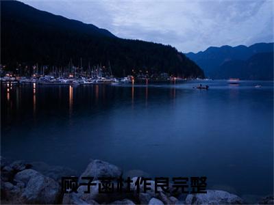 2023好看的小说阅读-顾子菡杜作良（顾子菡杜作良）小说已更新今天