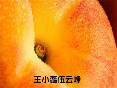 王小蕊伍云峰（王小蕊伍云峰）全文免费阅读无弹窗大结局_（王小蕊伍云峰全文免费阅读无弹窗）王小蕊伍云峰最新章节列表_笔趣阁（王小蕊伍云峰）