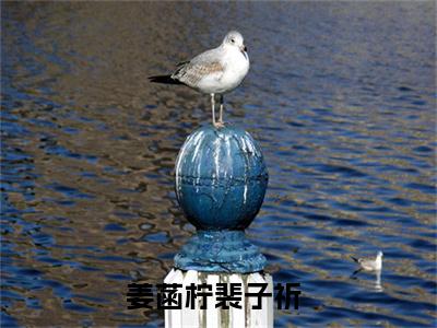 姜菡柠裴子祈全文免费在线阅读_（姜菡柠裴子祈免费阅读无弹窗）姜菡柠裴子祈全文免费完结版阅读