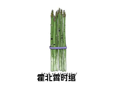 霍北霄时绾现言热文霍北霄时绾在线阅读-（霍北霄时绾）小说分享大结局霍北霄时绾