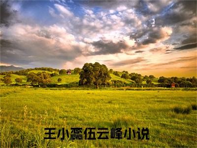 王小蕊伍云峰热门小说最新章节免费阅读-完结版全文王小蕊伍云峰小说在线阅读