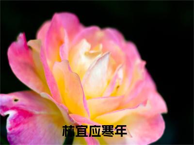林宜应寒年最新章节免费阅读-林宜应寒年全文无弹窗试读