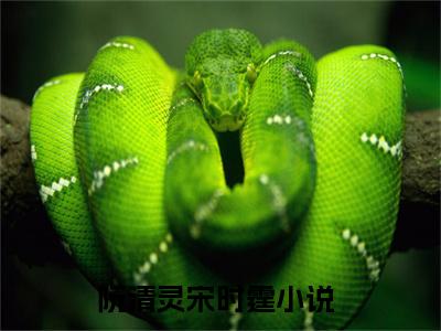 阮清灵宋时霆的书名 阮清灵宋时霆免费章节阅读