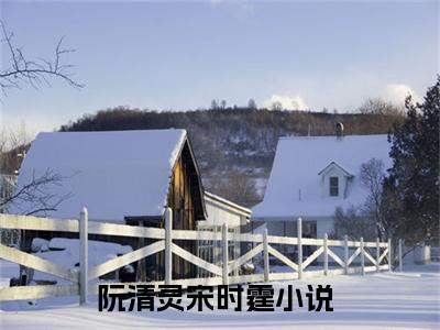 阮清灵宋时霆最新章节在线阅读-阮清灵宋时霆全文小说