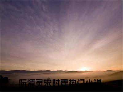 阮清灵宋时霆（阮清灵宋时霆）全文完整版免费阅读_（阮清灵宋时霆小说免费阅读）最新章节列表