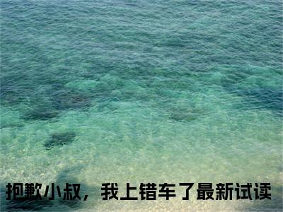抱歉小叔，我上错车了精彩小说-贺宴苏姜非晚全章节免费阅读