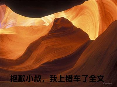 贺宴苏姜非晚免费小说-贺宴苏姜非晚完结版在线阅读