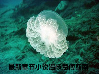 温枝意傅斯南(温枝意傅斯南)全文免费阅读无弹窗大结局_温枝意傅斯南完整版在线阅读章节列表_笔趣阁