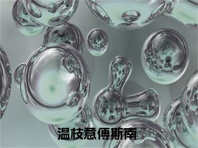 温枝意傅斯南小说热门全集在线观看 温枝意傅斯南免费章节试读