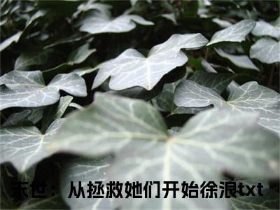 末世：从拯救她们开始徐浪(末世：从拯救她们开始徐浪)是什么小说-美文赏析《末世：从拯救她们开始徐浪》末世：从拯救她们开始徐浪抖音热文分享