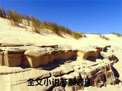 苏颜裴谨（苏颜裴谨小说）全文免费阅读无弹窗大结局_苏颜裴谨小说最新章节列表_（苏颜裴谨）
